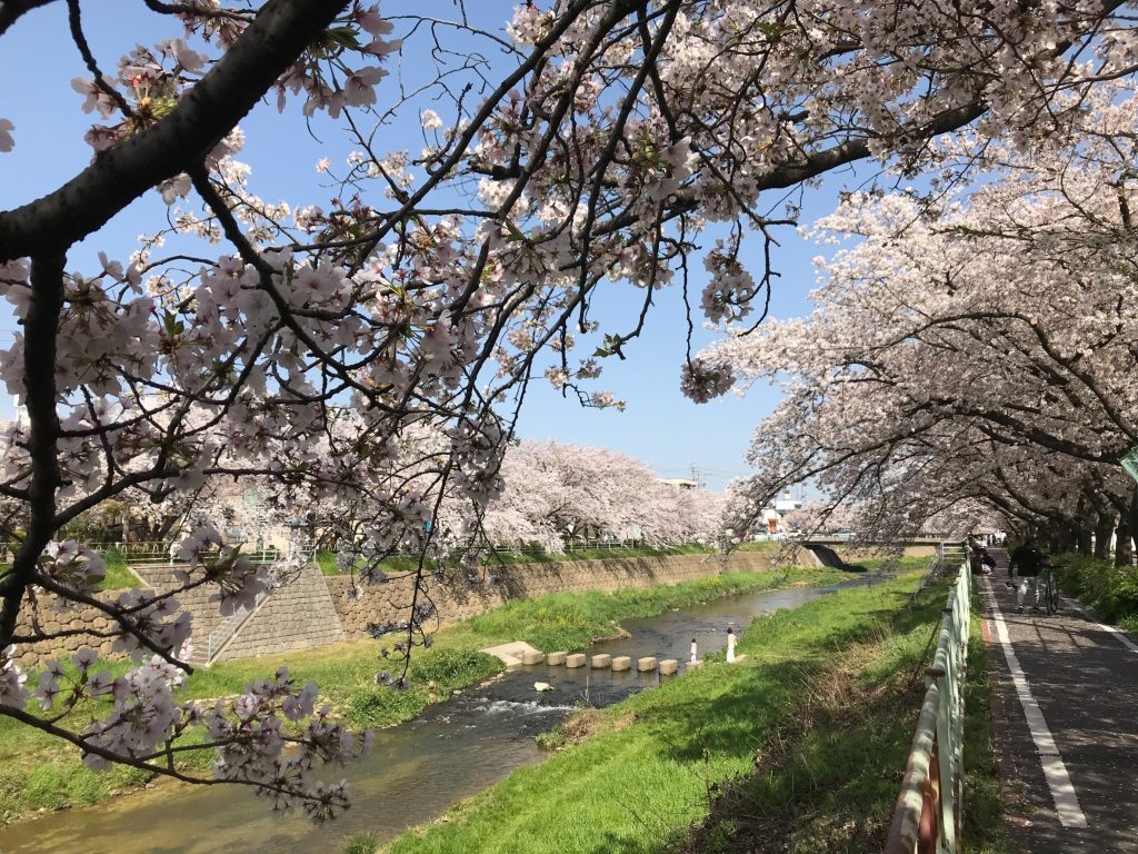 四季を感じる散歩コース